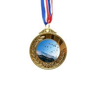 Birds House White Snow Sky Gold - Medalla ganadora del premio First Place