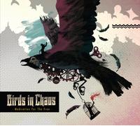 Birds In Chaos - Medication For The Free