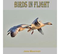 Birds in Flight