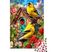 Birds in Garden Scene - Puzzle 1000 Piezas | para Toda La Familia | Rompecabezas Regalo Navidad 70x50cm/1000pcs