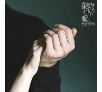 Birds in row - We already lost the world [Vinilo]