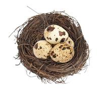Birds Nest - 10x10cm Handmade Woven Parrot Nest | Handmade Woven Flat Base Bird Nests | Bird Cage Accessories For Parakeet Flat Base Small Animal Bed House For Pigeons Parrot