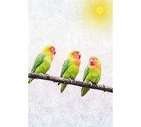 Birds of a Feather Journal: 150 Pages to Record Your Thoughts & Inspirations