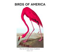 Birds of America 5 of 5