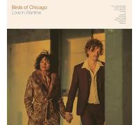 Birds Of Chicago - Love In Wartime