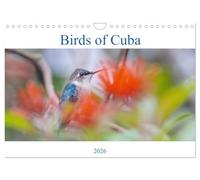 Birds of Cuba Island (Wall Calendar 2026 DIN A4 landscape), CALVENDO 12 Month Wall Calendar: Colorfoul birds of Cuba Island