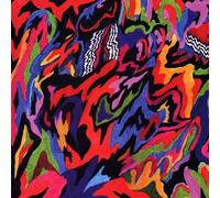 Birds of Delay - A Living Room at The Bottom of A Lake [Vinilo]