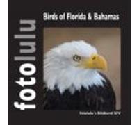 Birds Of Florida & Bahamas (ebook)