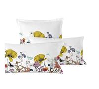 Birds of Paradise Funda Almohada Multicolor, 50x75 cm (x2) (Cama 150/160), 100% Algodón, Calidad de 150