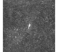 Birds of Passage - Last Garden-Clear Vinyl [Import] [Vinilo]