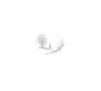 Birds Of Passage - Without the World [Vinilo]