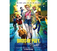 Birds of Prey et la fantabuleuse histoire de Harley Quinn [DVD]