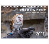 Birds of Prey in Action - Dynamic Flight and Portraits (Wall Calendar 2027 DIN A4 landscape), CALVENDO 12 Month Wall Calendar: Birds of prey in dynamic flight