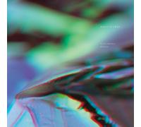 Birds of Prey Vanishing Point (Vinyl) 12" Album (Importación USA)