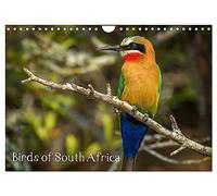 Birds of South Africa (Wall Calendar 2026 DIN A4 landscape), CALVENDO 12 Month Wall Calendar: Variety of Birds from South Africa