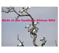 Birds of the Southern African Wild (Wall Calendar 2027 DIN A3 landscape), CALVENDO 12 Month Wall Calendar: A collection of various birds of southern Africa in their natural environment