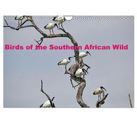 Birds of the Southern African Wild (Wall Calendar 2027 DIN A4 landscape), CALVENDO 12 Month Wall Calendar: A collection of various birds of southern Africa in their natural environment