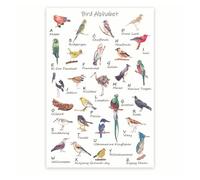 Birdwatching ABC Alphabet Poster, Educational Bird Themed Wall Art from A to Z, for Nursery Kids Room & Classroom Decor(Unframed,16x24inch(40x60cm))