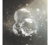 Birkin,Richard J. - Vigils