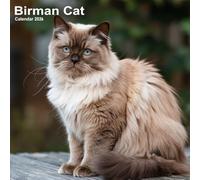 Birman Cat Calendar 2026: 12 Months of Dogs from Jan 2026 to Dec 2026 | Great Gift For Organizing & Planning