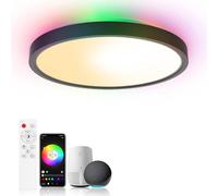 Birnetek® Lampara Techo LED 30W, Plafon RGB Redondo 2700K-6500K, Regulable, Compatible con Alexa, Google Home, Control APP, Mando a Distancia, para Dormitorio, Salon, Cocina,Negro