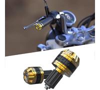 BIRNN Topes Manillar Moto para BMW R 1300 GS Trophy 2024, Extremos del Manillar Puños de Manillar de Motocicleta, Tapón Antivibración, Contrapesos Manillar Moto, D Gold
