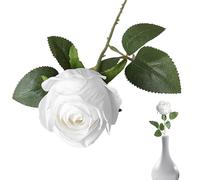 Birtern Rosas falsas con tallo, accesorios de fotografía retro, decoración para el hogar, bodas, aniversarios, novias, día de San Valentín, cumpleaños, felicitaciones, dormitorio, mesa, estudio, sala