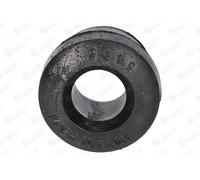 BIRTH 5165 Casquillo del cojinete, ballesta