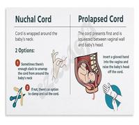 Birth Emergency Procedures Poster for First Responders Prehospital OB Guide Educational Chart for Training Room(Unframed,16x24inch(40x60cm))