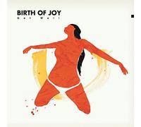Birth of Joy Get Well (Vinyl) 12" Album