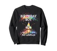 Birthday Boy Lets Celebrate Funny Bug Con Gafas De Sol Y Sombrero Sudadera