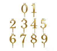 Birthday Candle Holder - Reusable 10 Piece Set 0-9 | Stainless Steel Number Cake Toppers, Silver Digital Style Stand for Friends Adults Bakers Kids Party Holiday Home Indoor Professional Cake Decor