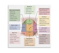 BIRXPMOS Anatomy Education Poster Abdominal Quadrants and Pain Reference Chart for Nursing School Canvas Wall-Art(Unframed,12x18inch(30x45cm))