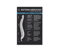 BIRXPMOS Chiropractic Anatomy Metal Wall-Art Spinal Nerve Function Chart and Vertebral Subluxation Educational Guide 8 X 12 in