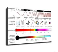 BIRXPMOS Modern Minimalist Electromagnetic Spectrum Wall-Art Poster Science Physics Home Study Decor(Unframed,08x12inch(20x30cm))