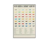 BIRXPMOS Neocaridina Shrimp Varieties, Color Chart with Species Identification Guide for Aquarium Hobbyists, Educational Wall-Art for Shrimp Tanks(Framed,08x12inch(20x30cm))