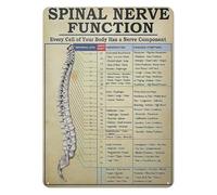BIRXPMOS Retro Nervous System Metal Tin Sign Vintage Human Anatomy Chart Body Science Art Decor for Study Room Home Office or Classroom (8 X 12 inch)