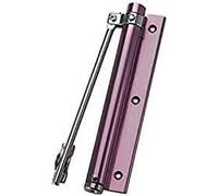 Bisagra de cierre puerta automática, piezas a juego automático, tapón oculto, resorte ajustable, color negro(Purple)