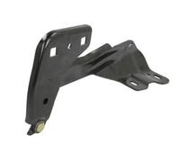 Bisagra del capó ambos lados 6802-00-2598452P BLIC para FORD USA EDGE