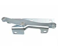Bisagra Capó Del Motor Fast FT95409 para Fiat Citroën