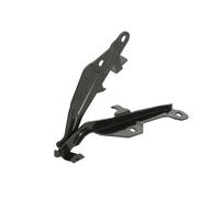 Bisagra Del Capó Derecho Compatible Con: FORD MUSTANG 07.18-