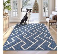 Biscpro Felpudo Antideslizante 80 x 100 cm, Tapete Absorbente Impermeable y Lavable para Atrapar Lluvia, Pasillo, Cocina - Azúl