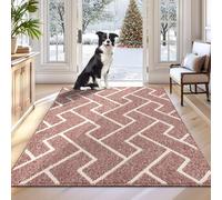 Biscpro Felpudo Entrada Casa, 80 x 100 cm Felpudo Tapete Absorbente Entrada Impermeabley Lavable para Atrapar,Alfombrilla Antideslizante,Exterior,Pasillo, Cocina,Felpudo Lluvia- Dark Pink