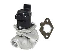Bisenya Válvula EGR con junta 161859 1618NR Compatible con 1.6 HDI C2 C3 C4 C5 Berlingo 206 207 307 308 407 1007 1618.59 1618.NR 9649358780 9660276280 9685640480 9672880080