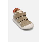 Bisgaard Thor v 21 Verde