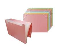 BISMARK Carpeta CLASIFICADORA DE TAMAÑO A4 con Fuelle EN Colores Pasteles Precio por Unidad. Colores ALEATORIOS