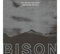Bison – You are not the ocean you are the patient – Vinilo
