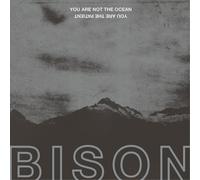 Bison You Are Not the Ocean You Are the Patient (Vinyl) 12" Album