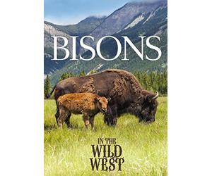 Bisons In The Wild West [DVD]