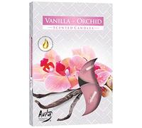 Bispol 6 velas perfumadas, vainilla-orquídea